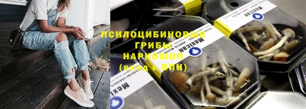 mix Алексин