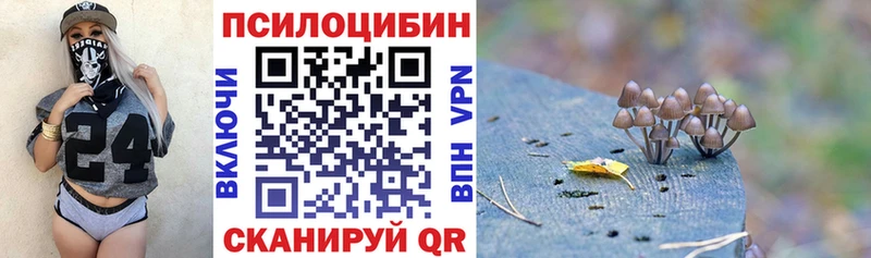 Галлюциногенные грибы Magic Shrooms  где купить   Дзержинск 